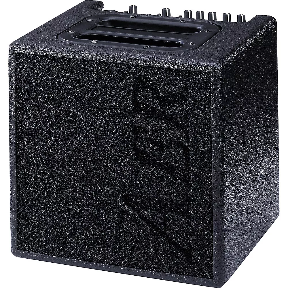 AER Alpha 40W 1x8 Acoustic Guitar Combo Amp Black