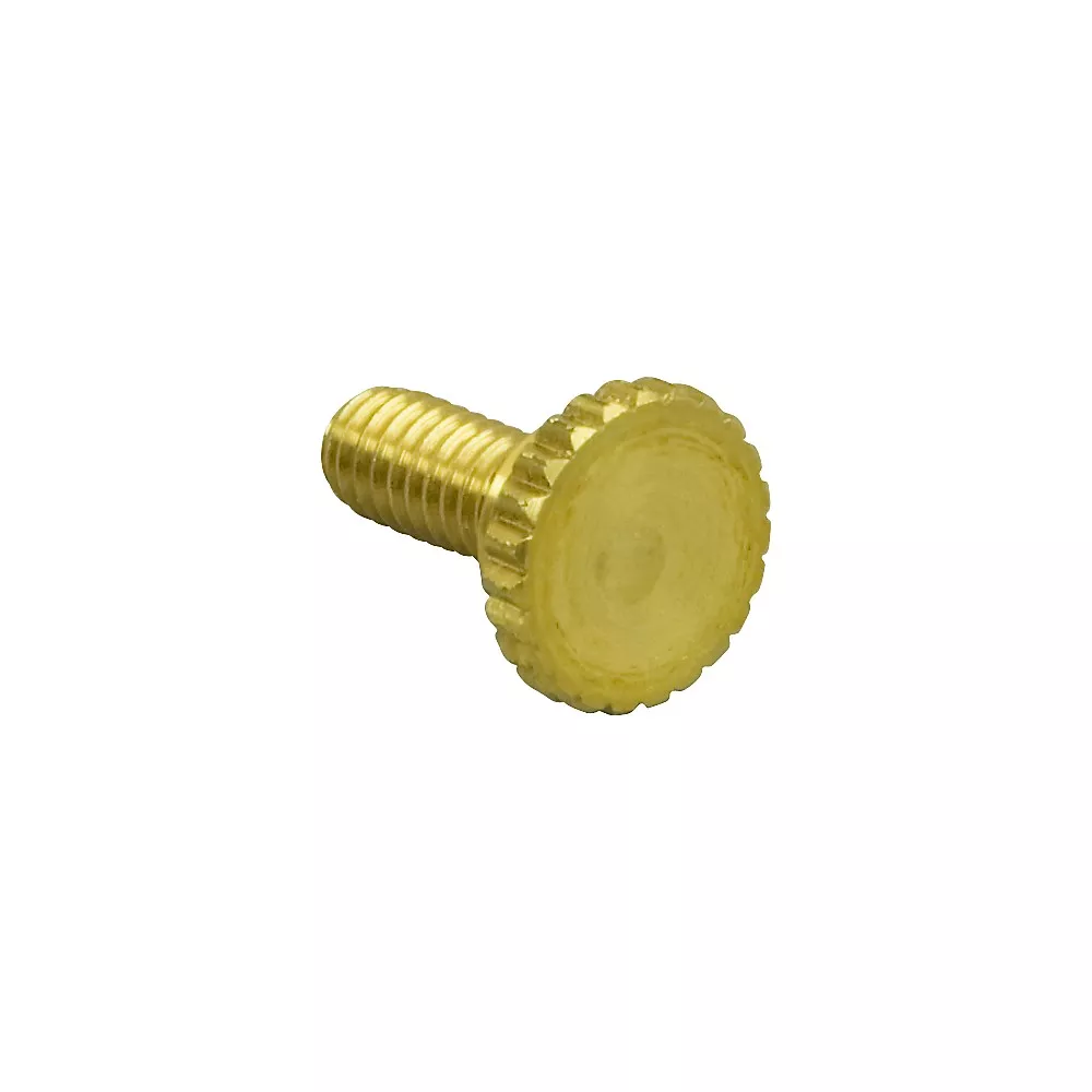 Allied Music Supply Replacement Woodwind Lyre Screw