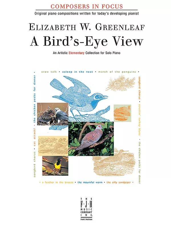 A Bird's-Eye View: Elementary Piano Book