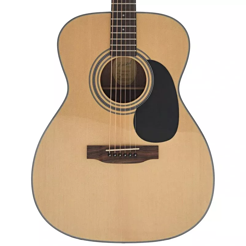 Bristol BM-16 000 Guitar & Gigbag