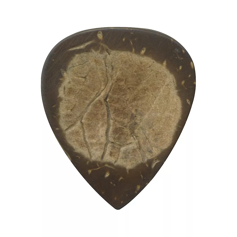 Clayton Coconut Shell Exotic Picks 3-Pack