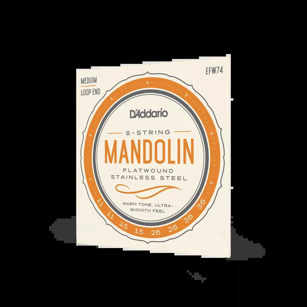 D'Addario EFW74 Flatwound Mandolin Strings, Stainless Steel, Medium, 11-36