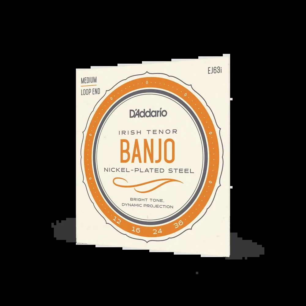 D'Addario EJ63i Irish Tenor Banjo Strings, Nickel, 12-36