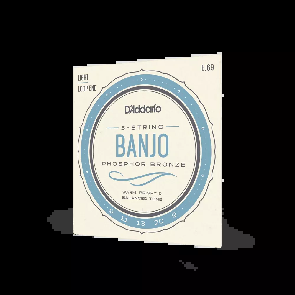 D'Addario EJ69 5-String Banjo Strings, Phosphor Bronze, Light, 9-20