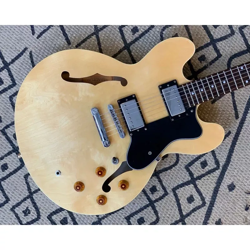 Epiphone DOT ES 335 w/ HSC