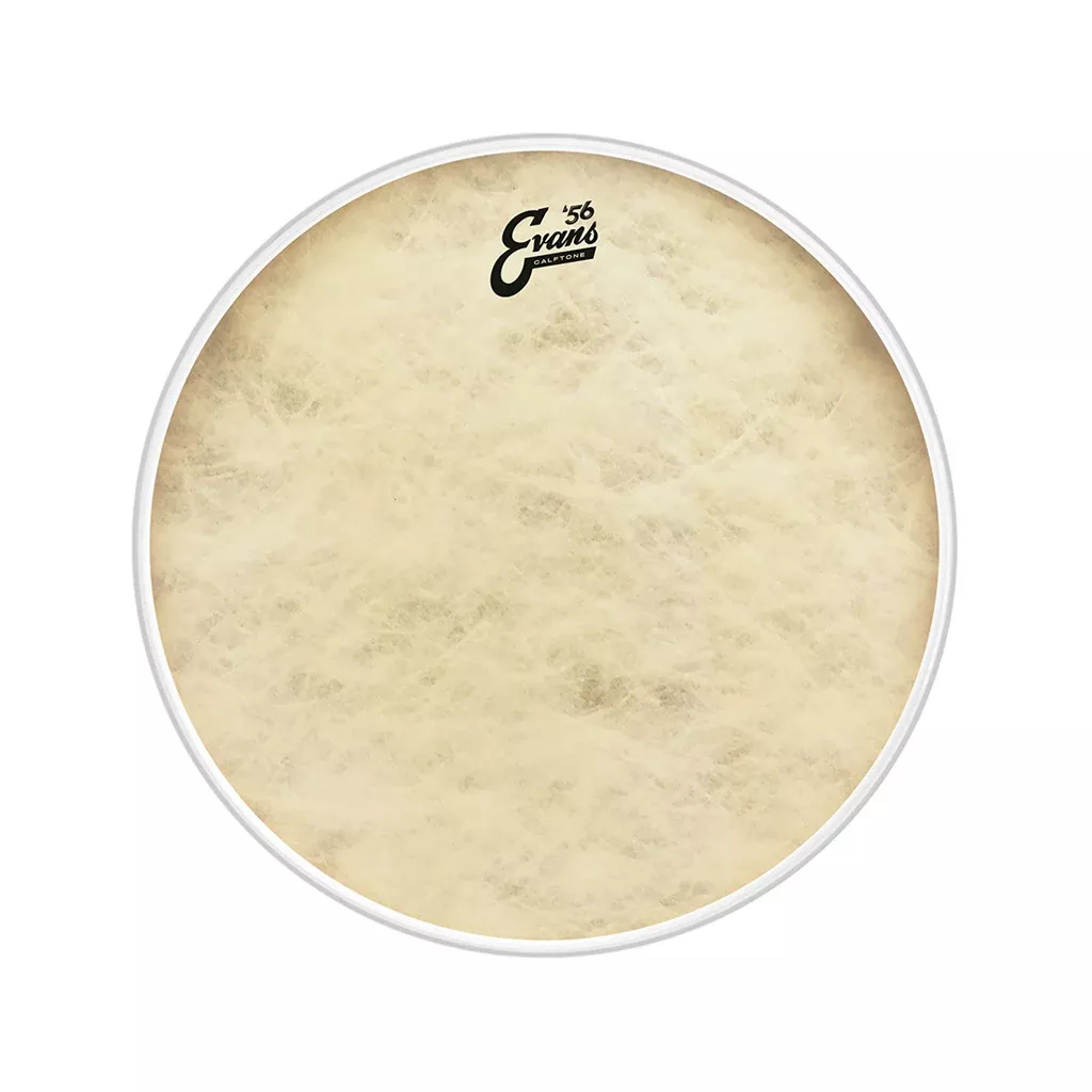 Evans BD22CT 22inch Calftone – Bass