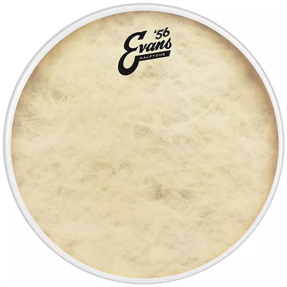EVANS Calftone Drum Head 16 in.