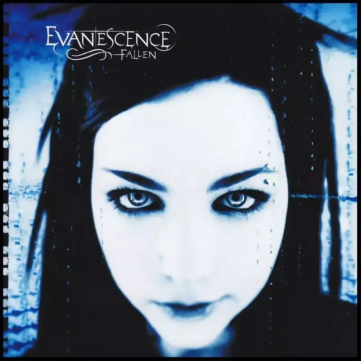 Fallen (EU Press) – Evanescence (Vinyl) (BD)