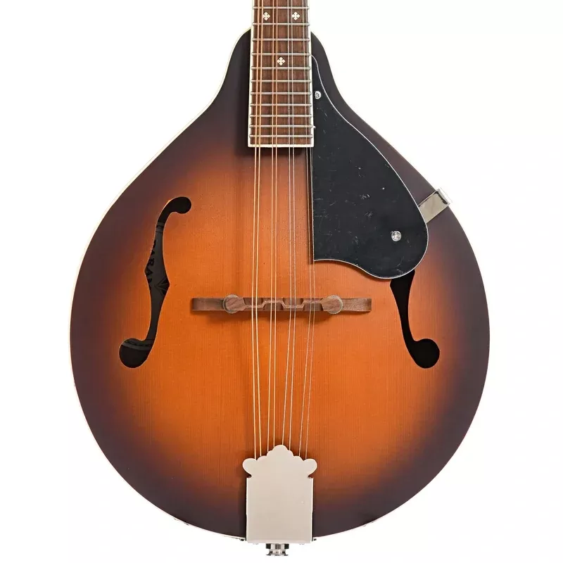 Fender Paramount PM-180E Mandolin & Gigbag