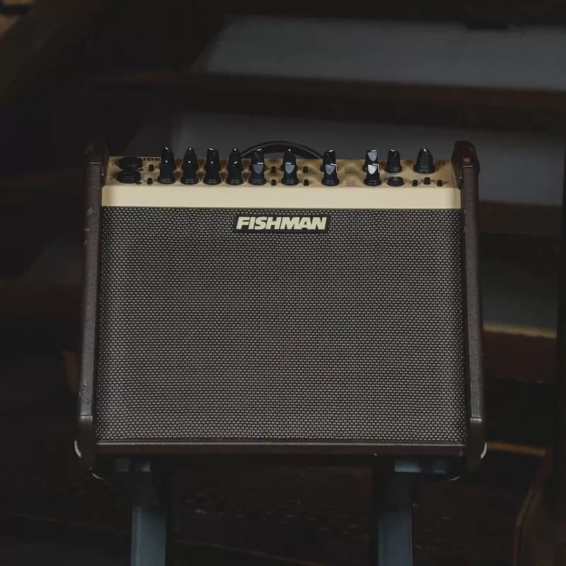 Fishman 2014 Artist Loudbox With Amplifier Stand – Used