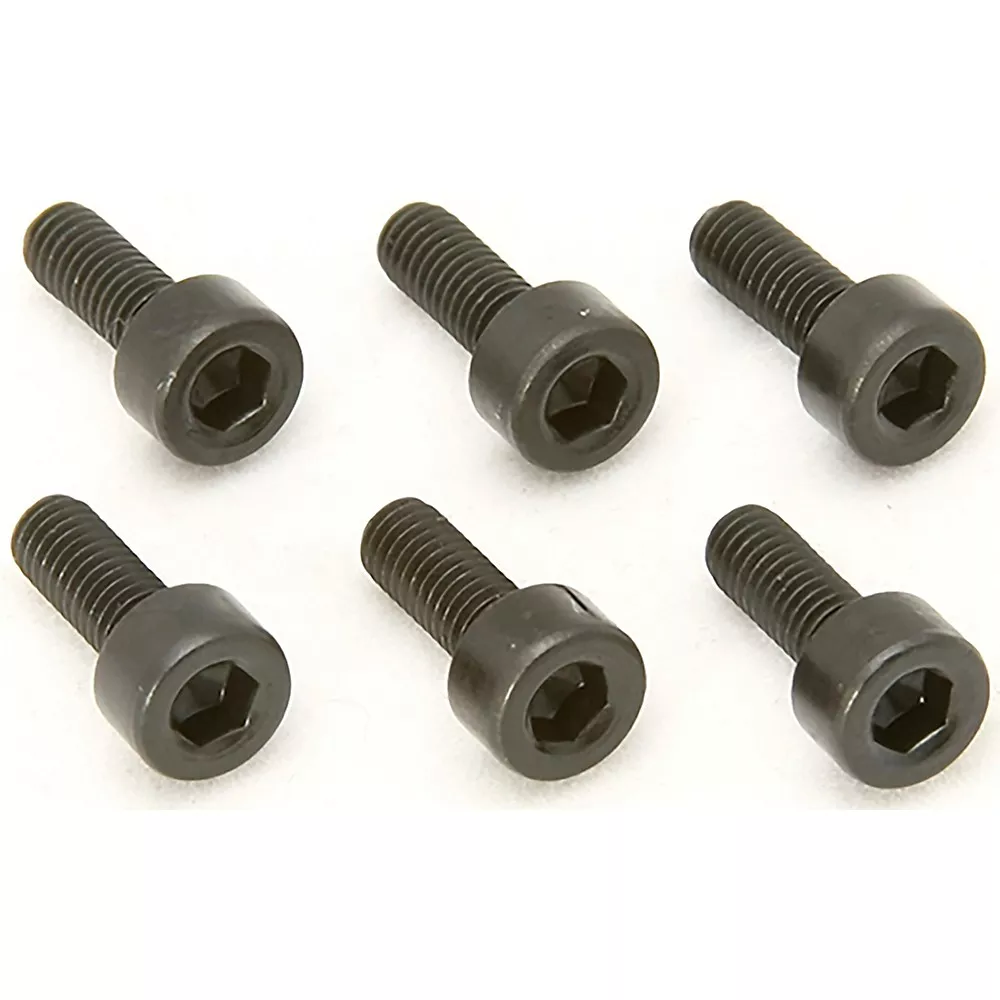 Floyd Rose Saddle Mounting Screws (Set of 6) Black