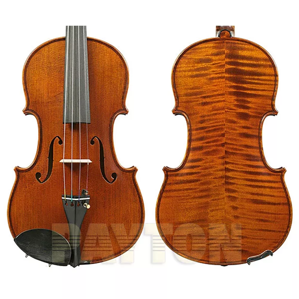 Gliga Vasile Maestro Guarneri Violin