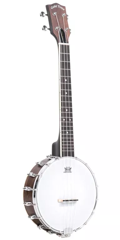 Gold Tone 4-string tenor banjo-ukulele with case – BUT