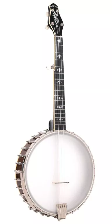 Gold Tone 5-string cello banjo with case – CEB-5