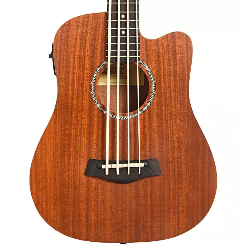 Gold Tone Acoustic-Electric MicroBass (2019)