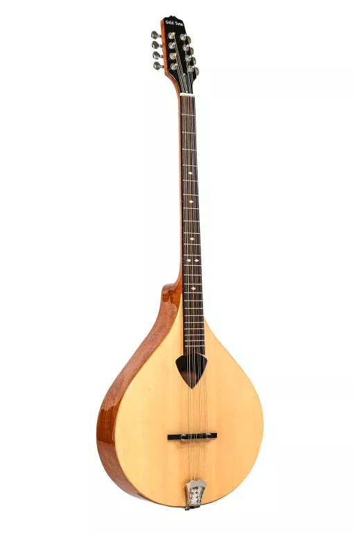 Gold Tone Irish bouzouki mandolin with hard case – BZ-500
