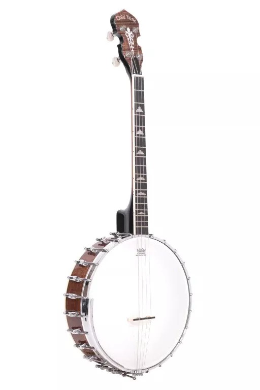 Gold Tone Irish tenor banjo and hardshell case – IT-250