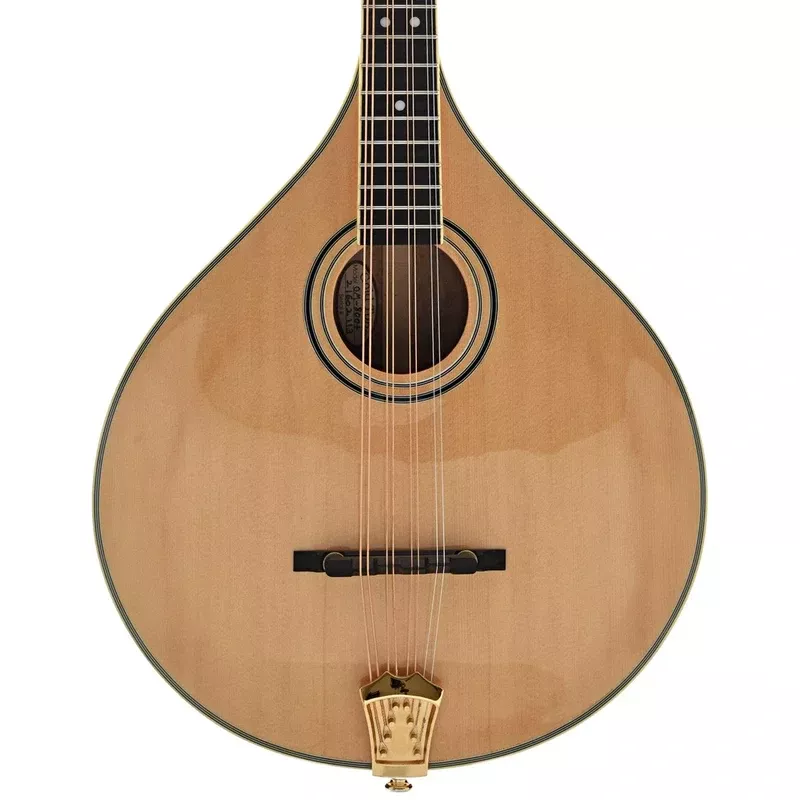 Gold Tone OM-800 Plus Octave Mandolin with Pickup & Case