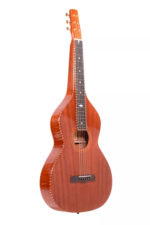 Gold Tone Weissenborn guitar with solid mahogany top and hardshell case – SM+