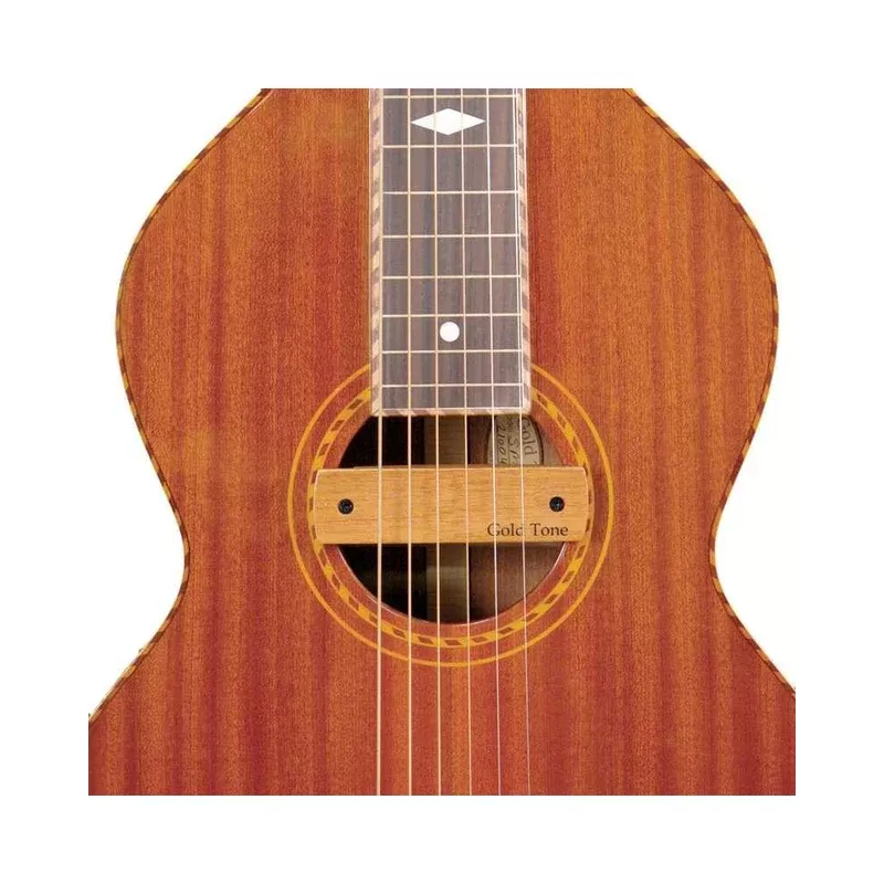 Gold Tone Weissenborn Pickup
