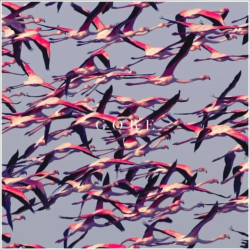 Gore - Deftones (Vinyl) (AE)