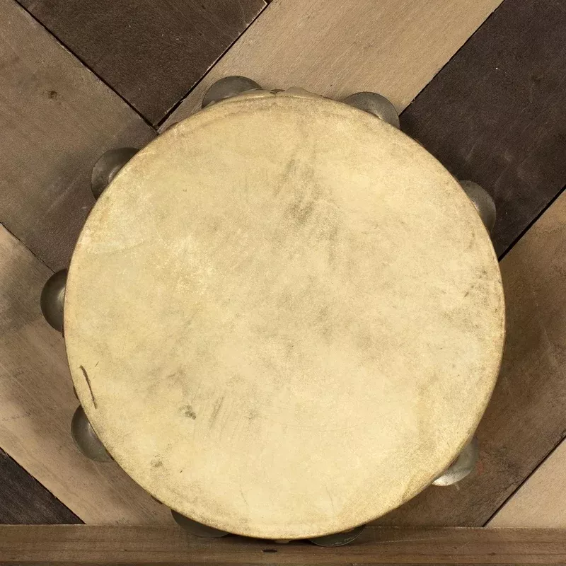 Ludwig 10″ Calf Skin Tambourine – Used