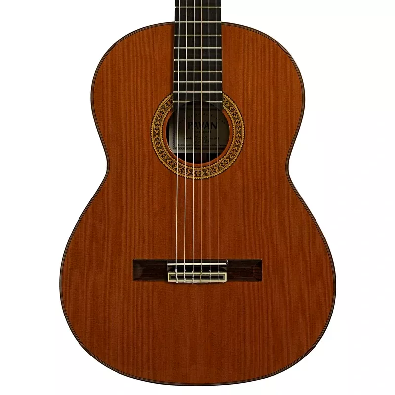 Pavan TP-30 Classical Guitar (2013)