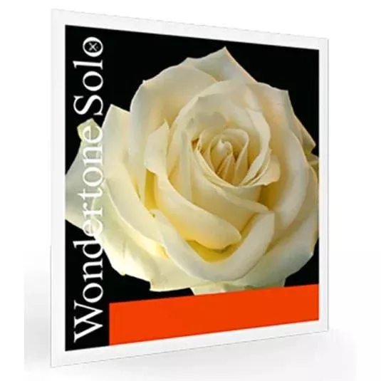Pirastro Wondertone Solo Violin Strings - Single Alum A