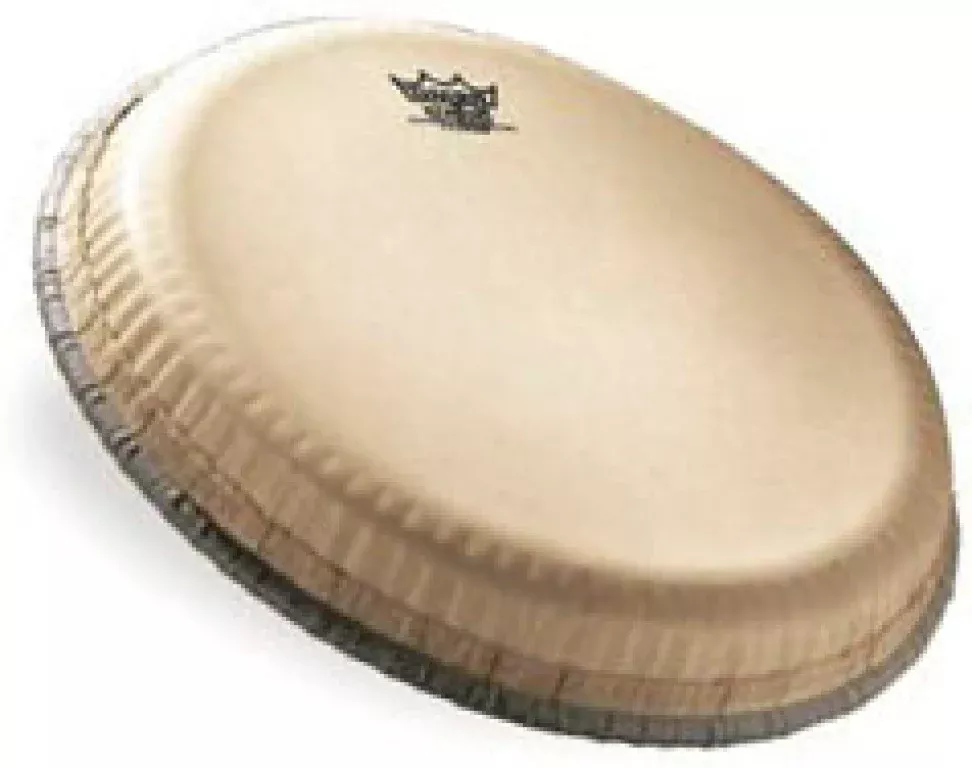 Remo Nuskyn Bongo Head - small