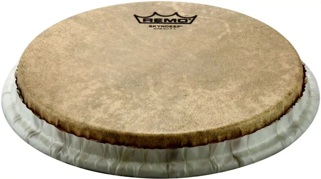 Remo Skyndeep bongo Head calfskin graphic