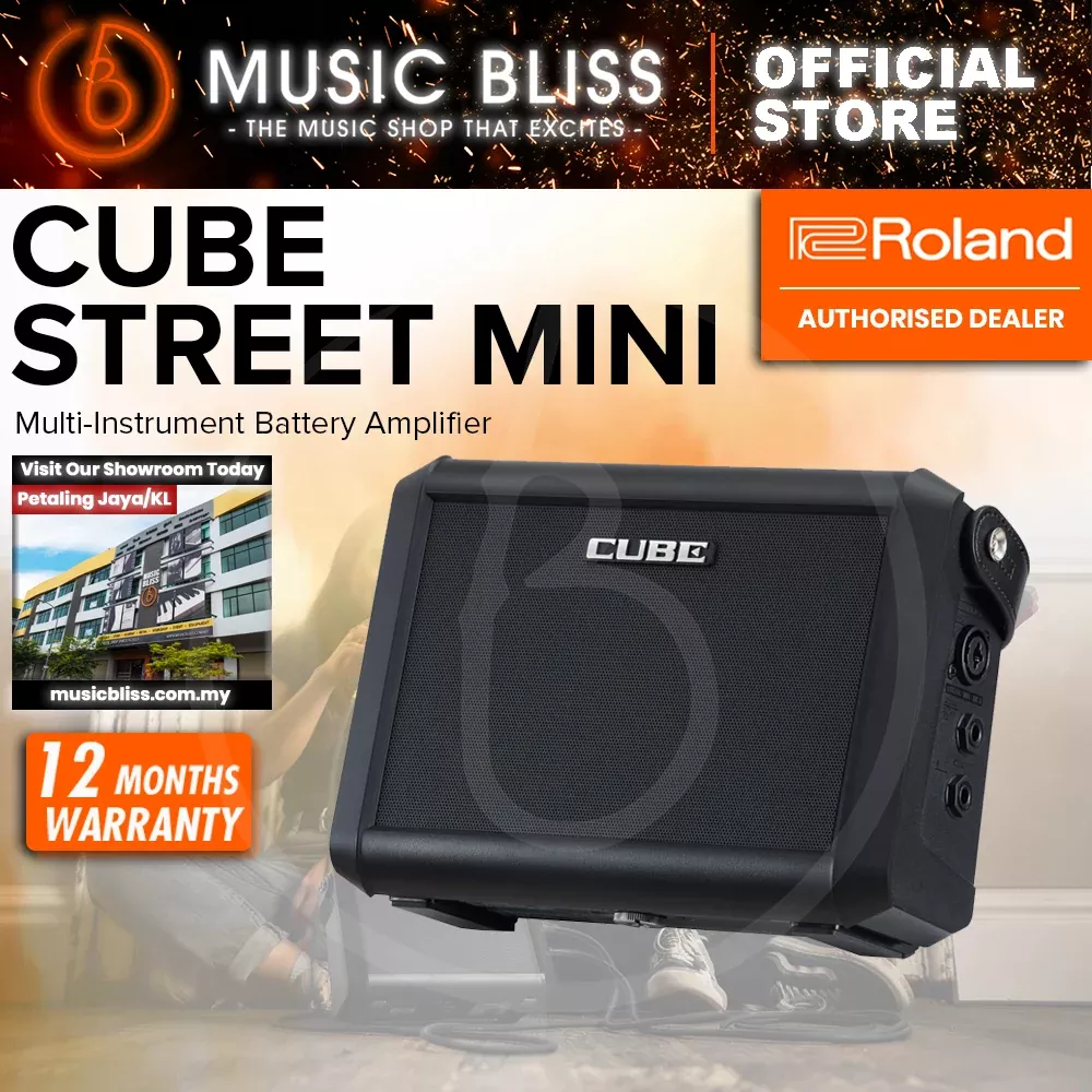 Roland CUBE Street Mini Multi-instrument Combo Amplifier
