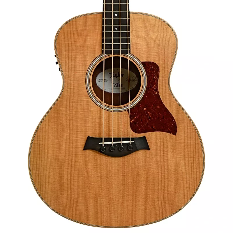Taylor GS Mini Acoustic-Electric Bass (2017)