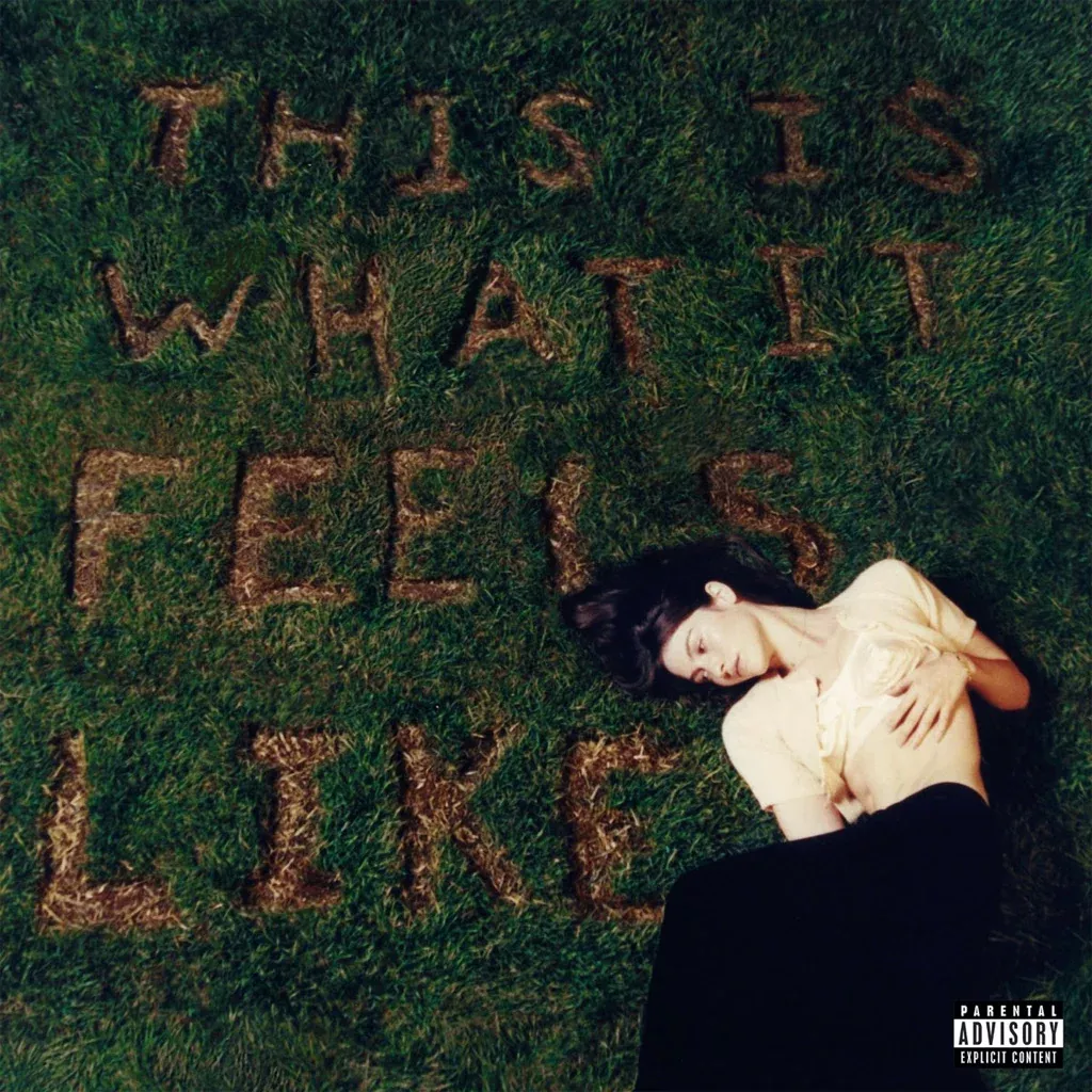 This Is What It Feels Like – Gracie Abrams (Vinyl) (AE)
